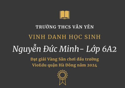 Góc vinh danh - Đấu trường VioEdu cấp quận